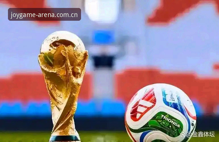 揭秘世界杯“冷场”背后的真相：签证困局如何让球迷望而却步
